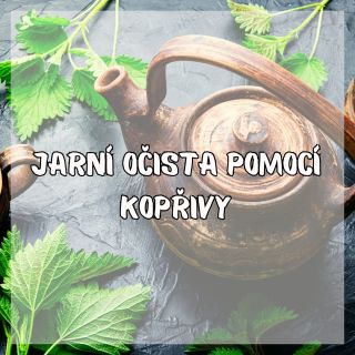 Jak si připravit kopřivový čaj Potřebuješ: 1–2 lžičky sušené kopřivy (nebo hrst čerstvé, je teď sezóna, tak toho využij a...
